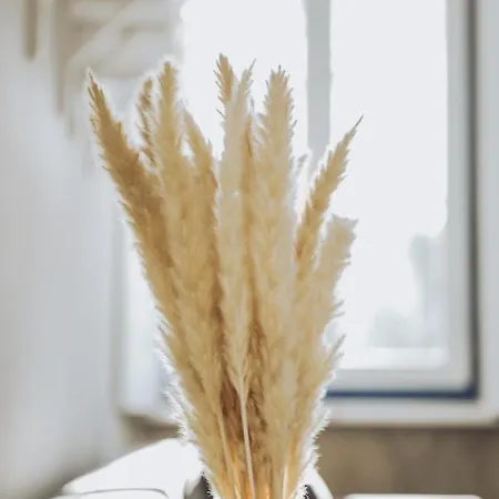 Semesterbostad Estacao Ferroviaria De Lourido Celorico De Basto