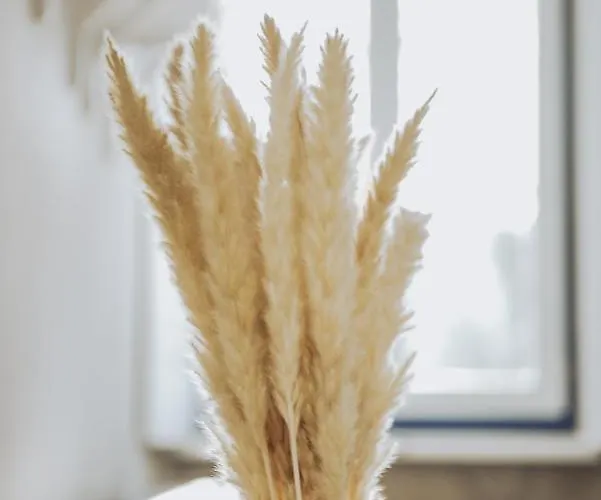 Дом отдыха Estacao Ferroviaria De Lourido Селорику-ди-Башту